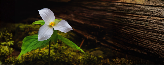 Your Skin Isn’t Sensitive → It’s Sensitized