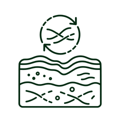 Changes in collagen structure and function change as aging occurs