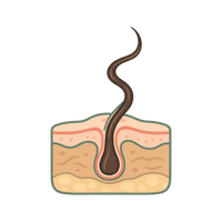 Curved Hair