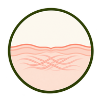Wound Healing