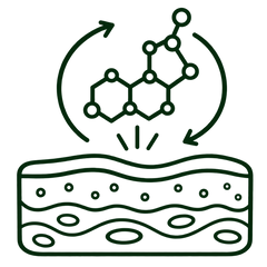 Hormones influence collagen, hydration and skin thickness. Estrogen decline can accelerate visible aging in women, while testosterone changes in men are usually more gradual.