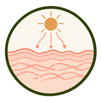 Sun Damage