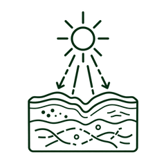 Line art of a sun affecting the skin