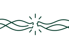 A dark green decorative line art graphic featuring two wavy lines meeting in the center with a small burst of rays, set against a solid white background.